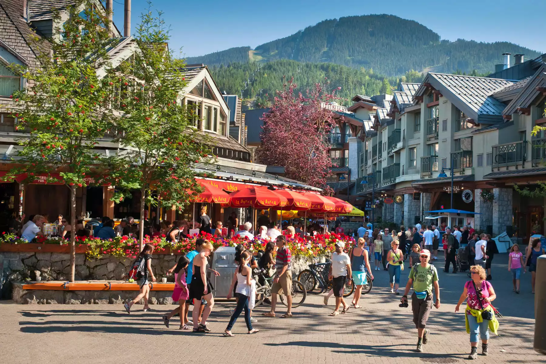 Whistler